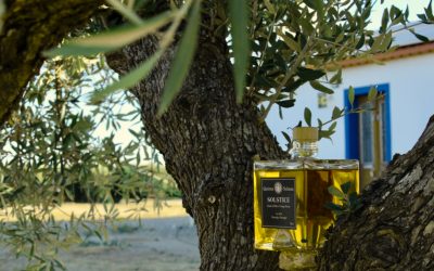 La classification de l’huile d’olive
